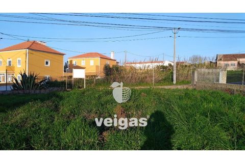 Terra a Gaeiras, Leiria, Gaeiras - € 79.900 | Ref: CAL-204754 - foto 3