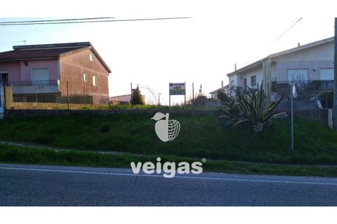 Terra a Gaeiras, Leiria, Gaeiras - € 79.900 | Ref: CAL-204754 - foto 4