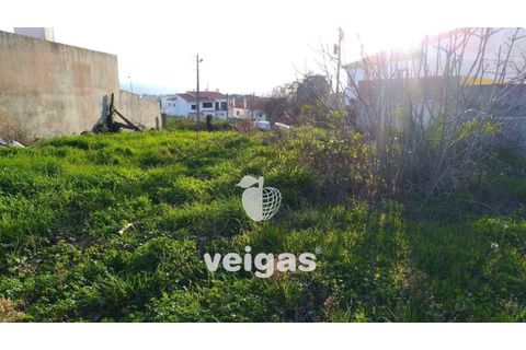 Terra a Gaeiras, Leiria, Gaeiras - € 79.900 | Ref: CAL-204754 - foto 5
