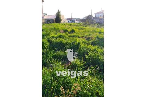 Terra a Gaeiras, Leiria, Gaeiras - € 79.900 | Ref: CAL-204754 - foto 6