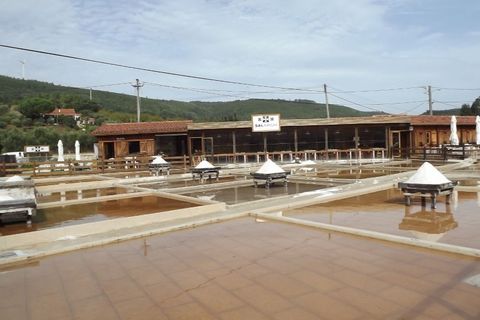 Helårsgrund i Rio Maior, Santarem, Rio Maior - € 80.000 | Ref: CAL-196745 - foto 9