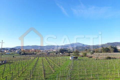 Farm i Moncao, Viana do Castelo, Moncao - € 550.000 | Ref: SAFTI:001845 - foto 2