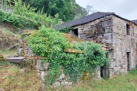 Ruinere i Abedim, Viana do Castelo, Abedim - € 66.500 | Ref: SAFTI:002864 - foto 2