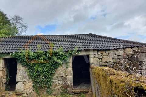 Ruinere i Abedim, Viana do Castelo, Abedim - € 66.500 | Ref: SAFTI:002864 - foto 4
