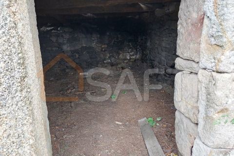 Ruinere i Abedim, Viana do Castelo, Abedim - € 66.500 | Ref: SAFTI:002864 - foto 5