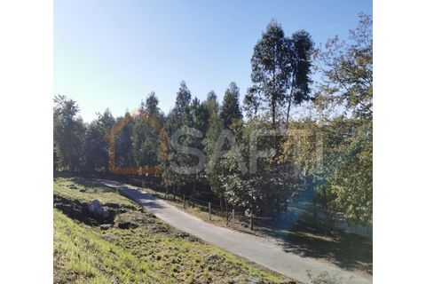 Erhvervsejendom i Ponte, Braga, Ponte - € 85.000 | Ref: SAFTI:002859 - foto 2
