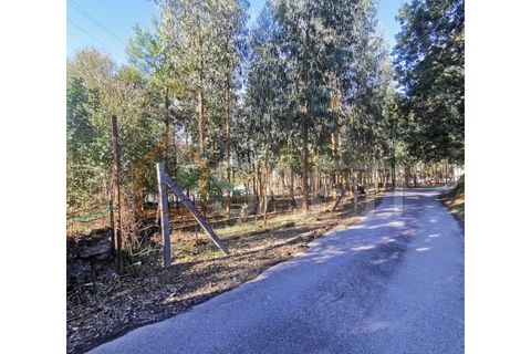 Erhvervsejendom i Ponte, Braga, Ponte - € 85.000 | Ref: SAFTI:002859 - foto 8