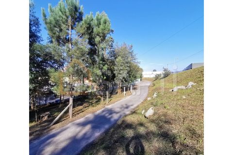 Erhvervsejendom i Ponte, Braga, Ponte - € 85.000 | Ref: SAFTI:002859 - foto 9