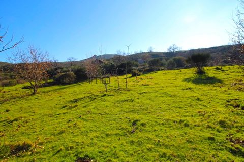Helårsgrund i Amarante, Porto, Amarante - € 395.000 | Ref: 00629FR-1 - foto 8