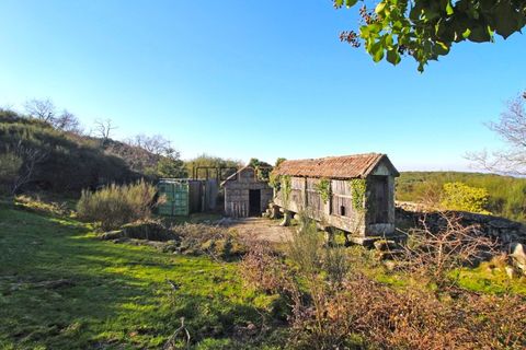 Helårsgrund i Amarante, Porto, Amarante - € 395.000 | Ref: 00629FR-1 - foto 23