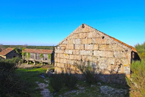 Helårsgrund i Amarante, Porto, Amarante - € 395.000 | Ref: 00629FR-1 - foto 24