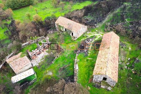 Helårsgrund i Amarante, Porto, Amarante - € 395.000 | Ref: 00629FR-1 - foto 37