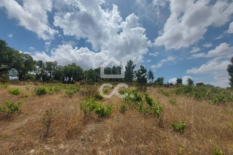 Helårsgrund i Mora, Evora, Mora - € 24.000 | Ref: 318/T/03100 - foto 1