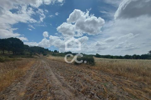 Helårsgrund i Mora, Evora, Mora - € 24.000 | Ref: 318/T/03100 - foto 3
