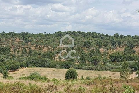 Helårsgrund i Mora, Evora, Mora - € 24.000 | Ref: 318/T/03100 - foto 4