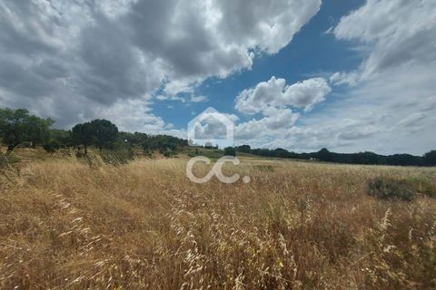 Helårsgrund i Mora, Evora, Mora - € 24.000 | Ref: 318/T/03100 - foto 7