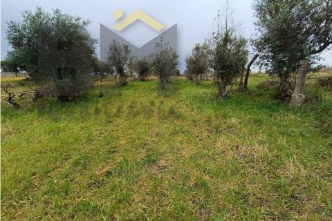 Villa i Escalos de Cima e Lousa, Castelo Branco, Escalos de Cima e Lousa - € 76.000 | Ref: 4438 - foto 44