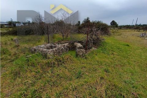 Villa i Escalos de Cima e Lousa, Castelo Branco, Escalos de Cima e Lousa - € 76.000 | Ref: 4438 - foto 45