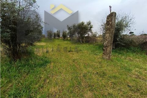 Villa i Escalos de Cima e Lousa, Castelo Branco, Escalos de Cima e Lousa - € 76.000 | Ref: 4438 - foto 46