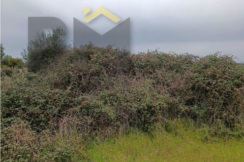 Villa i Escalos de Cima e Lousa, Castelo Branco, Escalos de Cima e Lousa - € 76.000 | Ref: 4438 - foto 47