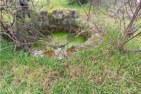 Villa i Escalos de Cima e Lousa, Castelo Branco, Escalos de Cima e Lousa - € 76.000 | Ref: 4438 - foto 48