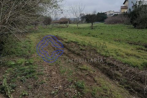 Helårsgrund i Valongo, Porto, Valongo - € 46.000 | Ref: 156681 - foto 7