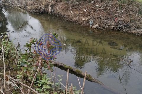 Helårsgrund i Valongo, Porto, Valongo - € 46.000 | Ref: 156681 - foto 2