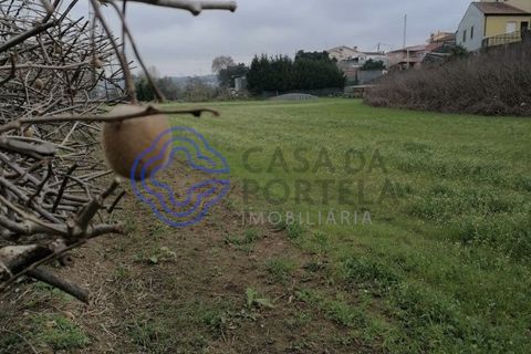 Helårsgrund i Valongo, Porto, Valongo - € 46.000 | Ref: 156681 - foto 3