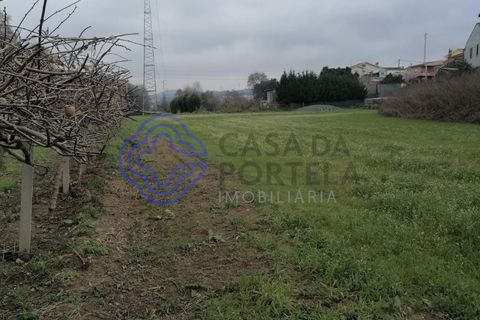 Helårsgrund i Valongo, Porto, Valongo - € 46.000 | Ref: 156681 - foto 6