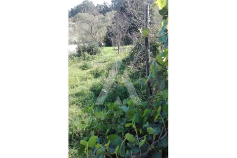 Helårsgrund i Ilhavo, Aveiro, Ilhavo - € 41.000 | Ref: 1040271/20 BR - foto 4