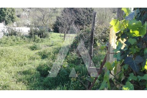 Helårsgrund i Ilhavo, Aveiro, Ilhavo - € 41.000 | Ref: 1040271/20 BR - foto 2
