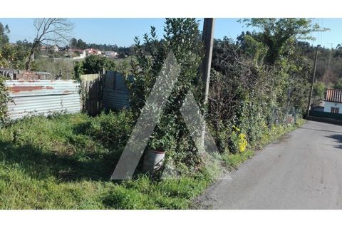 Helårsgrund i Ilhavo, Aveiro, Ilhavo - € 41.000 | Ref: 1040271/20 BR - foto 3