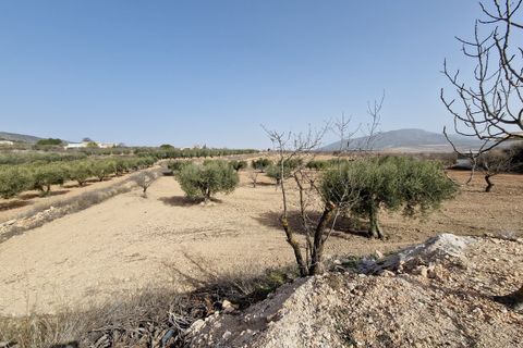 Cave house i Raspay, Murcia, Raspay - € 75.000 | Ref: CF2731 - foto 4