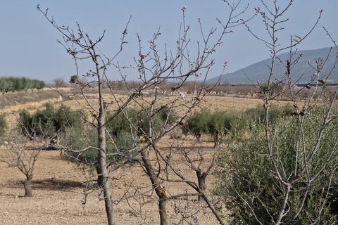 Cave house i Raspay, Murcia, Raspay - € 75.000 | Ref: CF2731 - foto 5