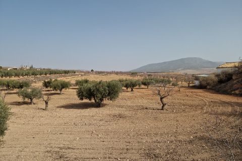 Cave house i Raspay, Murcia, Raspay - € 75.000 | Ref: CF2731 - foto 6