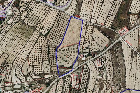 Cave house i Raspay, Murcia, Raspay - € 75.000 | Ref: CF2731 - foto 25