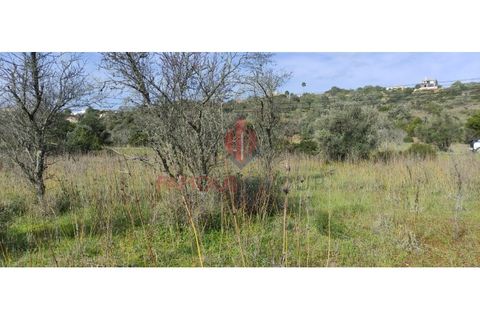 Helårsgrund i Silves, Faro, Silves - € 55.000 | Ref: 110/2023 - foto 3