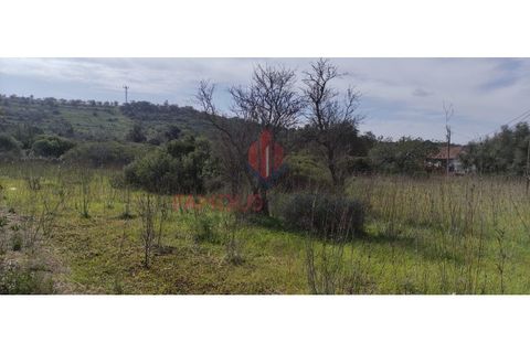 Helårsgrund i Silves, Faro, Silves - € 55.000 | Ref: 110/2023 - foto 4