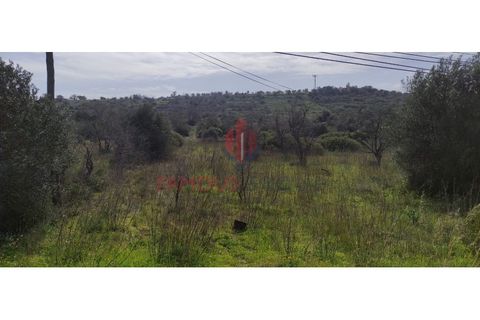 Helårsgrund i Silves, Faro, Silves - € 55.000 | Ref: 110/2023 - foto 5