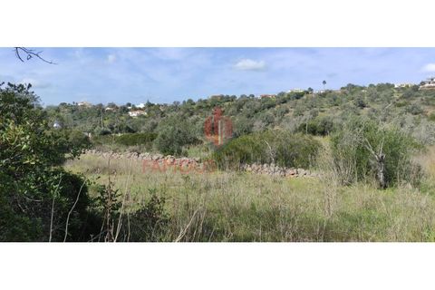 Helårsgrund i Silves, Faro, Silves - € 55.000 | Ref: 110/2023 - foto 6