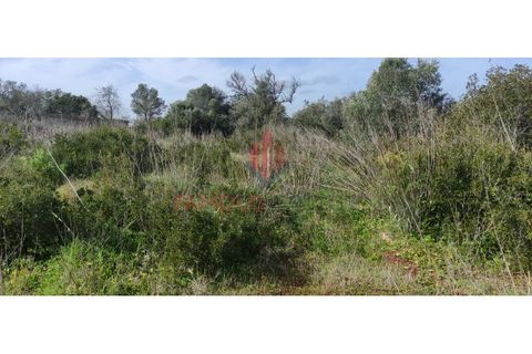 Helårsgrund i Silves, Faro, Silves - € 55.000 | Ref: 110/2023 - foto 9