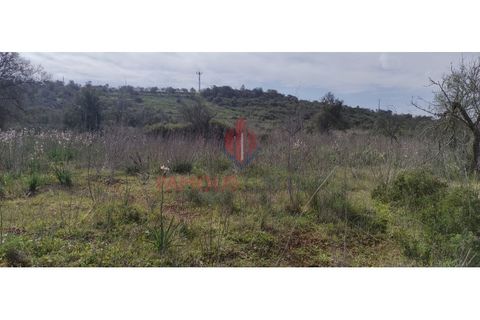 Helårsgrund i Silves, Faro, Silves - € 55.000 | Ref: 110/2023 - foto 11