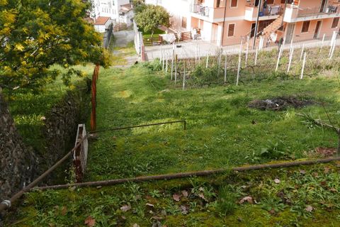 Terra a Soldano, Imperia, Soldano - € 85.000 | Ref: 8192385 - foto 3