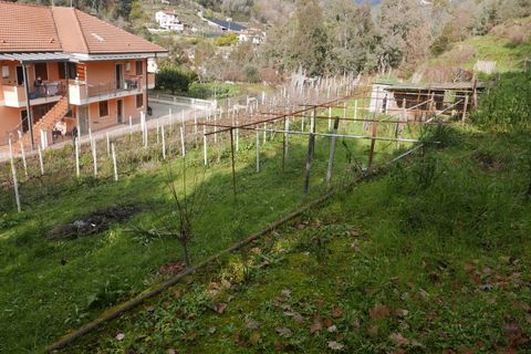 Terra a Soldano, Imperia, Soldano - € 85.000 | Ref: 8192385 - foto 5