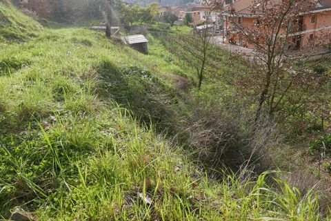 Terra a Soldano, Imperia, Soldano - € 85.000 | Ref: 8192385 - foto 8