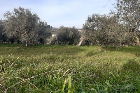 Landejendom i Spoltore, Pescara, Spoltore - € 470.000 | Ref: G270223 - foto 9