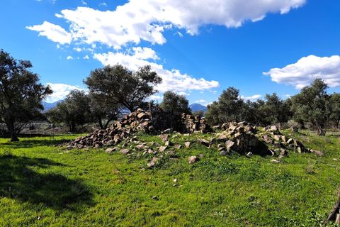 Helårsgrund i Coin, Malaga, Coin - € 140.000 | Ref: R4254559 - foto 11