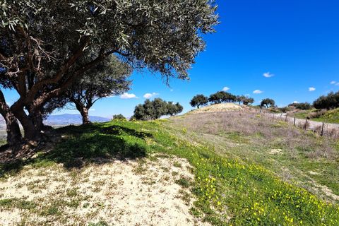 Helårsgrund i Coin, Malaga, Coin - € 140.000 | Ref: R4254559 - foto 15