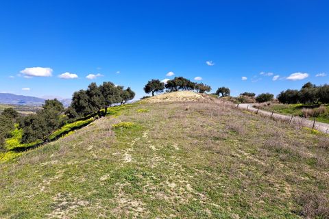 Helårsgrund i Coin, Malaga, Coin - € 140.000 | Ref: R4254559 - foto 16