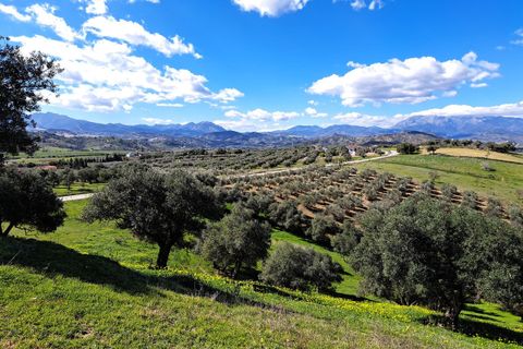 Helårsgrund i Coin, Malaga, Coin - € 140.000 | Ref: R4254559 - foto 19